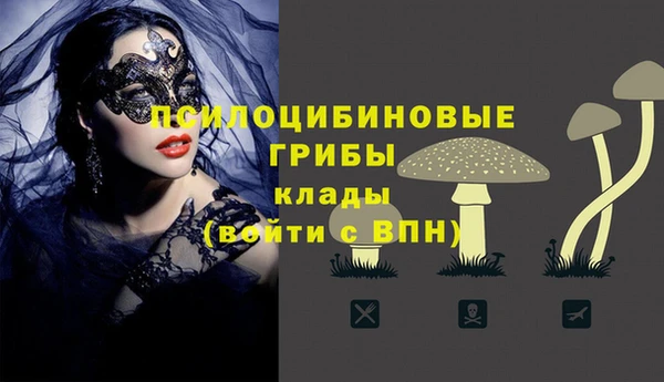 МДПВ Гусев