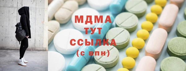 индика Гусиноозёрск