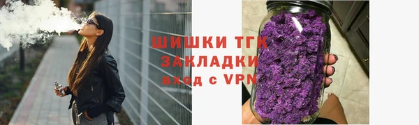 индика Гусиноозёрск