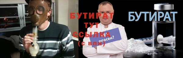 индика Гусиноозёрск