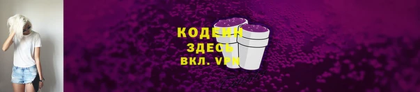 индика Гусиноозёрск