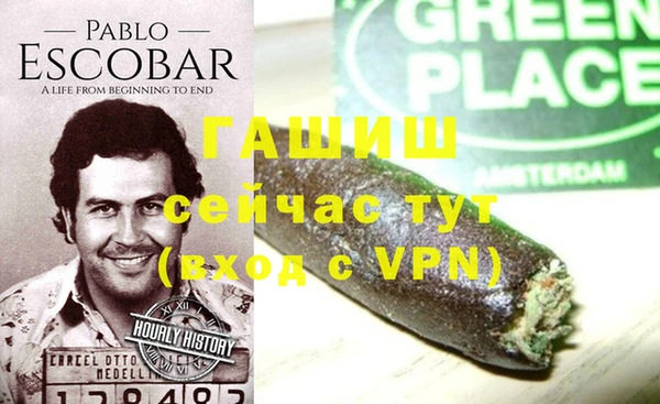 индика Гусиноозёрск