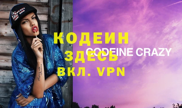 индика Гусиноозёрск