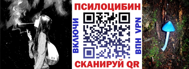 omg зеркало  Жуков  Псилоцибиновые грибы Psilocybine cubensis 